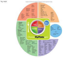 Chapter 18: Nutrition and Metabolism Hole's Human Anatomy and ...