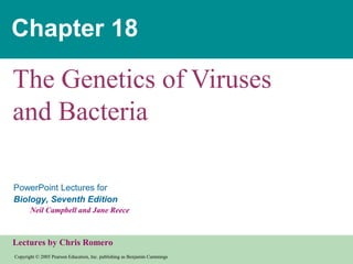 Copyright © 2005 Pearson Education, Inc. publishing as Benjamin Cummings
PowerPoint Lectures for
Biology, Seventh Edition
Neil Campbell and Jane Reece
Lectures by Chris Romero
Chapter 18
The Genetics of Viruses
and Bacteria
 