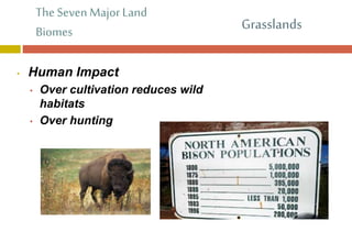 The Seven MajorLand
Biomes
• Human Impact
• Over cultivation reduces wild
habitats
• Over hunting
Grasslands
 