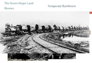 The Seven MajorLand
Biomes
• Human Impact
• Over logging
• Rich soil allows cut forests to
grow back quickly
• Tree farms help provide lumber
without destroying habitats
Temperate Rainforest
 