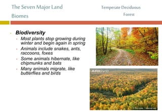 The Seven MajorLand
Biomes
• Biodiversity
• Most plants stop growing during
winter and begin again in spring
• Animals include snakes, ants,
raccoons, foxes
• Some animals hibernate, like
chipmunks and bats
• Many animals migrate, like
butterflies and birds
Temperate Deciduous
Forest
 