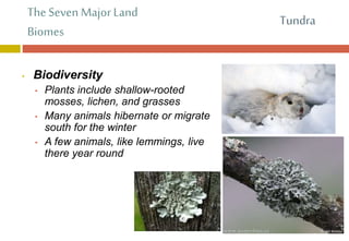 The Seven Major Land
Biomes
• Biodiversity
• Plants include shallow-rooted
mosses, lichen, and grasses
• Many animals hibernate or migrate
south for the winter
• A few animals, like lemmings, live
there year round
Tundra
 