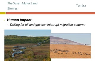The Seven Major Land
Biomes
• Human Impact
• Drilling for oil and gas can interrupt migration patterns
Tundra
 