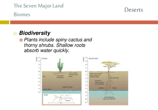 Chapter 19.1: Land Biomes