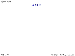 McGraw-Hill ©The McGraw-Hill Companies, Inc., 2001
Figure 19-24
AAL2
 