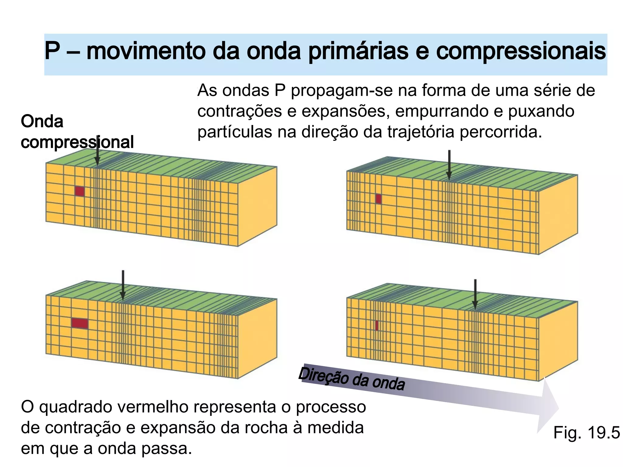 P – movimento da onda primárias e compressionais
Onda
compressional

As ondas P propagam-se na forma de uma série de
contrações e expansões, empurrando e puxando
partículas na direção da trajetória percorrida.

O quadrado vermelho representa o processo
de contração e expansão da rocha à medida
em que a onda passa.

Fig. 19.5

 