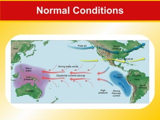 Normal Conditions 