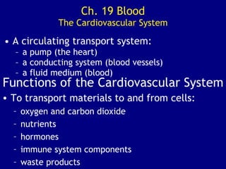 Ch. 19 Blood The Cardiovascular System ,[object Object],[object Object],[object Object],[object Object],Functions of the Cardiovascular System ,[object Object],[object Object],[object Object],[object Object],[object Object],[object Object]