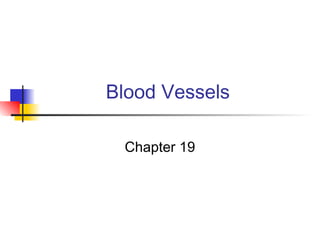 Blood Vessels
Chapter 19
 