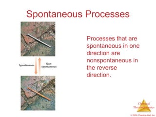 Spontaneous Processes

            Processes that are
            spontaneous in one
            direction are
            nonspontaneous in
            the reverse
            direction.



                               Chemical
                            Thermodynamics

                          © 2009, Prentice-Hall, Inc.
 