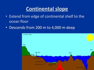 Continental slope <ul><li>Extend from edge of continental shelf to the ocean floor </li></ul><ul><li>Descends from 200 m t...