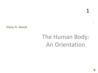 1
                                     1
Elaine N. Marieb


                   The Human Body:
                    An Orientation
 