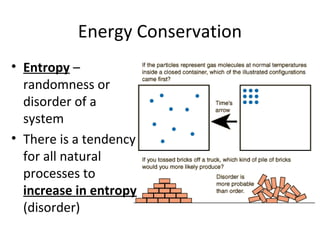 Energy Conservation
• Entropy –
randomness or
disorder of a
system
• There is a tendency
for all natural
processes to
increase in entropy
(disorder)
 