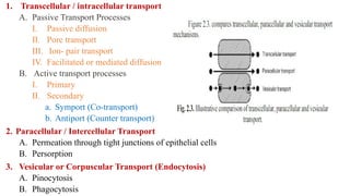 1. Transcellular / intracellular transport
A. Passive Transport Processes
I. Passive diffusion
II. Pore transport
III. Ion- pair transport
IV. Facilitated or mediated diffusion
B. Active transport processes
I. Primary
II. Secondary
a. Symport (Co-transport)
b. Antiport (Counter transport)
2. Paracellular / Intercellular Transport
A. Permeation through tight junctions of epithelial cells
B. Persorption
3. Vesicular or Corpuscular Transport (Endocytosis)
A. Pinocytosis
B. Phagocytosis
 