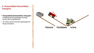 1. Transcellular/intracellular
transport.
• Transcellular/Intracellular Transport
is defined as the passage of drugs
across the GI epithelium.
• It is the most common pathway for
drug transport.
 