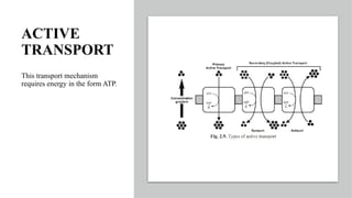 ACTIVE
TRANSPORT
This transport mechanism
requires energy in the form ATP.
 