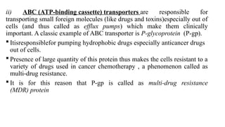 ii) ABC (ATP-binding cassette) transporters are responsible for
transporting small foreign molecules (like drugs and toxins)especially out of
cells (and thus called as efflux pumps) which make them clinically
important. A classic example of ABC transporter is P-glycoprotein (P-gp).
 Itisresponsiblefor pumping hydrophobic drugs especially anticancer drugs
out of cells.
 Presence of large quantity of this protein thus makes the cells resistant to a
variety of drugs used in cancer chemotherapy , a phenomenon called as
multi-drug resistance.
 It is for this reason that P-gp is called as multi-drug resistance
(MDR) protein
 