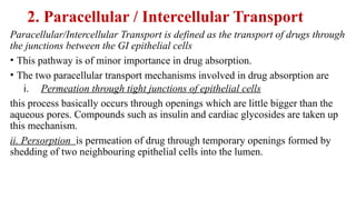 2. Paracellular / Intercellular Transport
Paracellular/Intercellular Transport is defined as the transport of drugs through
the junctions between the GI epithelial cells
• This pathway is of minor importance in drug absorption.
• The two paracellular transport mechanisms involved in drug absorption are
i. Permeation through tight junctions of epithelial cells
this process basically occurs through openings which are little bigger than the
aqueous pores. Compounds such as insulin and cardiac glycosides are taken up
this mechanism.
ii. Persorption is permeation of drug through temporary openings formed by
shedding of two neighbouring epithelial cells into the lumen.
 