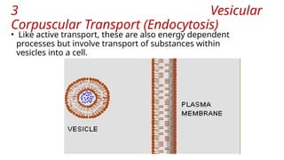 3 Vesicular
Corpuscular Transport (Endocytosis)
• Like active transport, these are also energy dependent
processes but involve transport of substances within
vesicles into a cell.
 