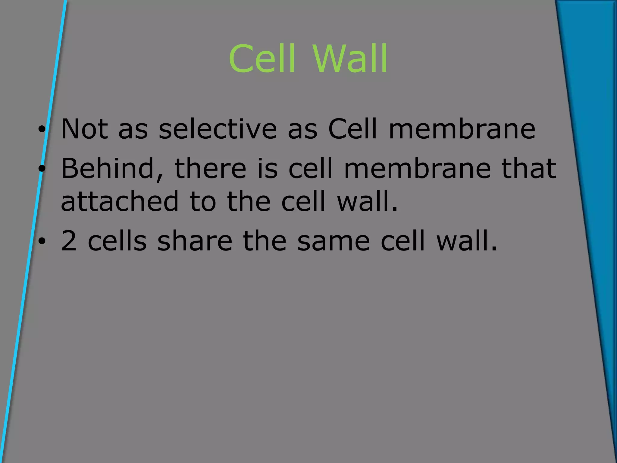 Cell Wall
• Not as selective as Cell membrane
• Behind, there is cell membrane that
attached to the cell wall.
• 2 cells share the same cell wall.
 