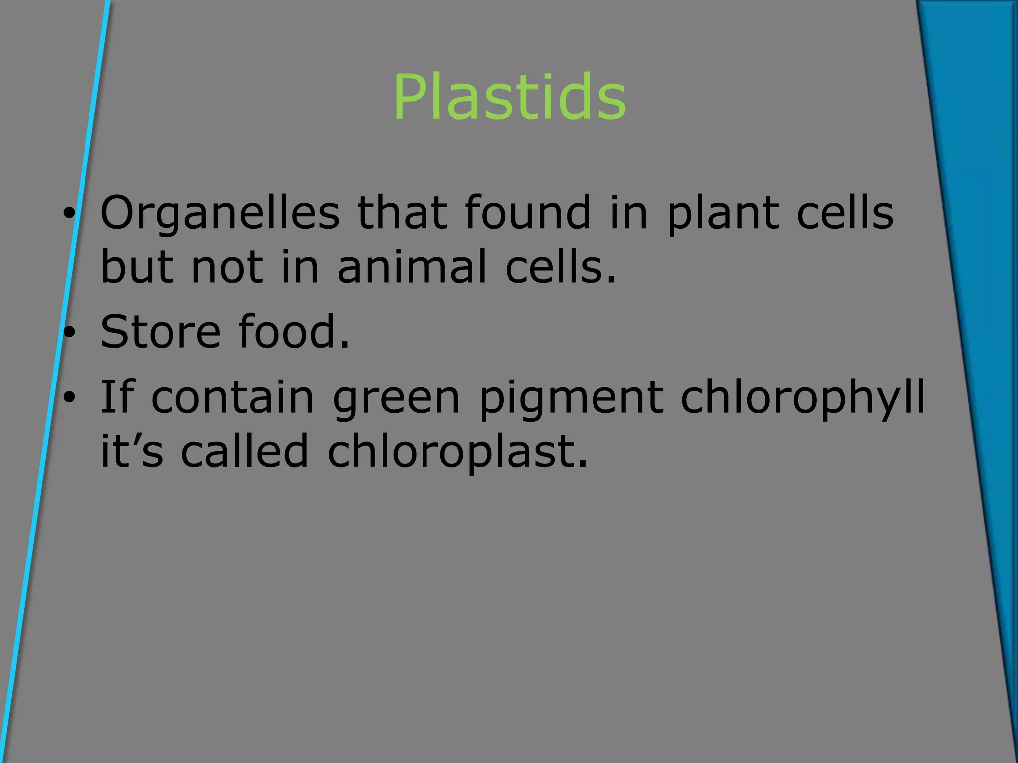 Plastids
• Organelles that found in plant cells
but not in animal cells.
• Store food.
• If contain green pigment chlorophyll
it’s called chloroplast.
 