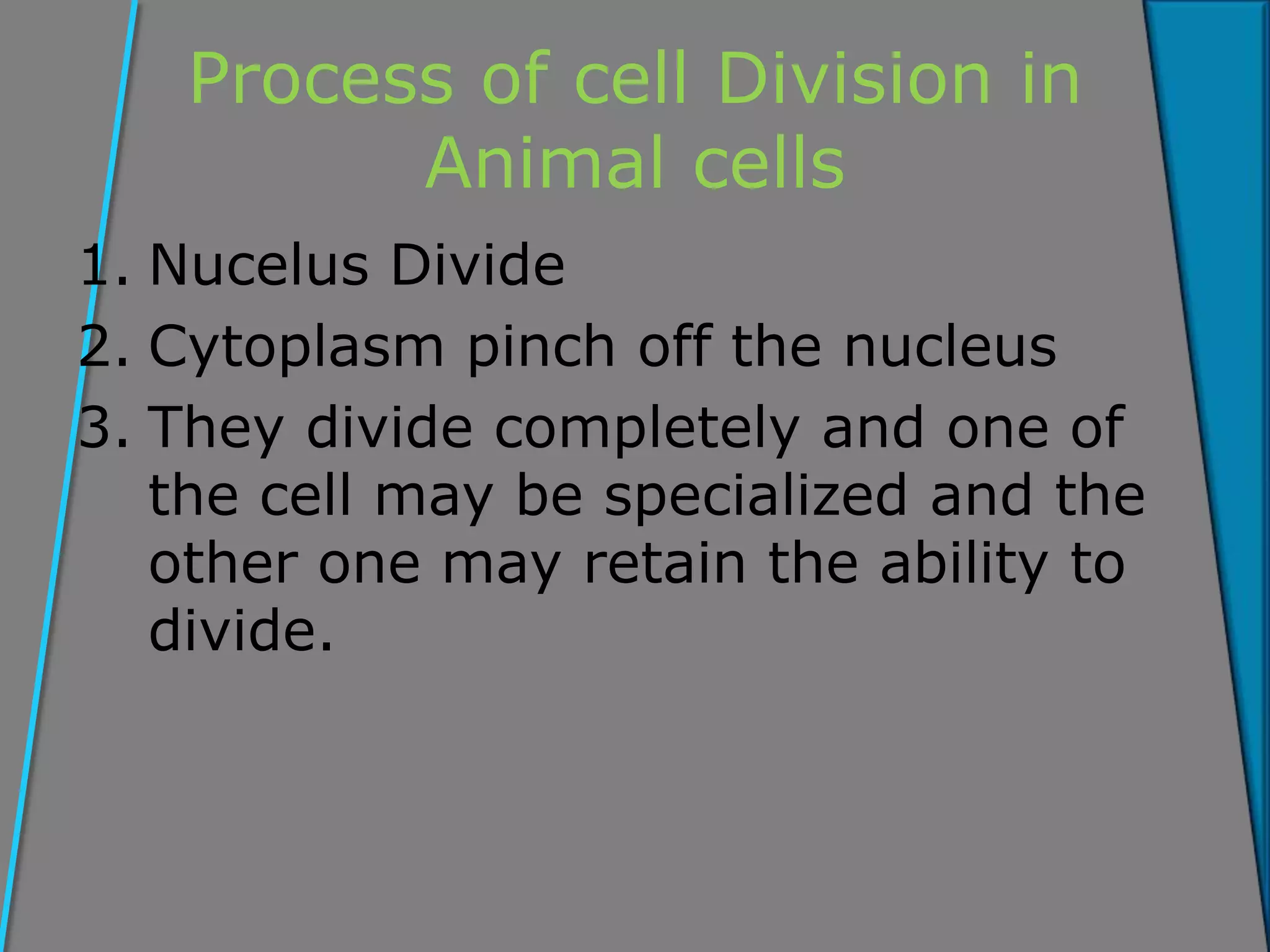 Process of cell Division in
Animal cells
1. Nucelus Divide
2. Cytoplasm pinch off the nucleus
3. They divide completely and one of
the cell may be specialized and the
other one may retain the ability to
divide.
 