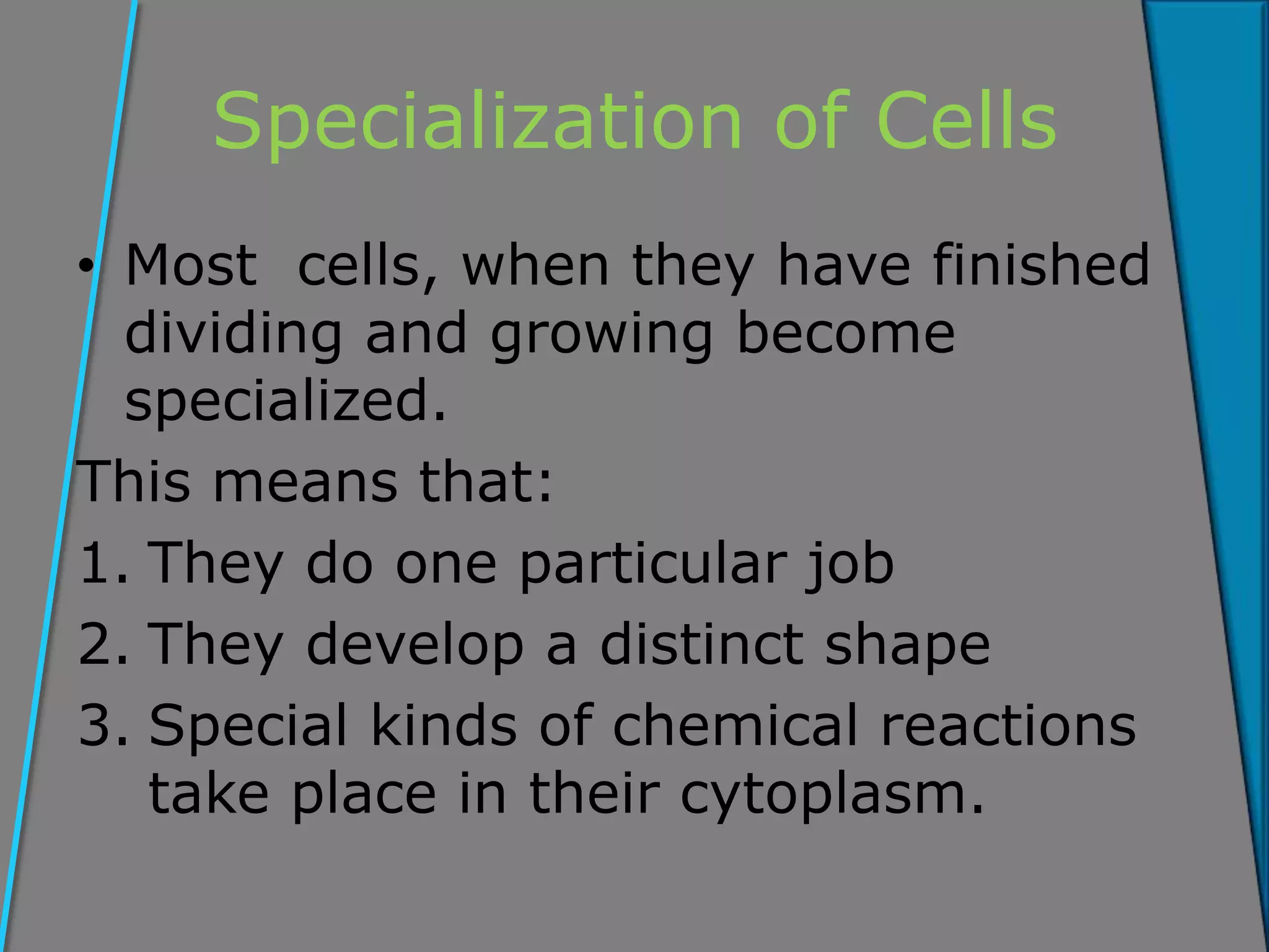 Specialization of Cells
• Most cells, when they have finished
dividing and growing become
specialized.
This means that:
1. They do one particular job
2. They develop a distinct shape
3. Special kinds of chemical reactions
take place in their cytoplasm.
 