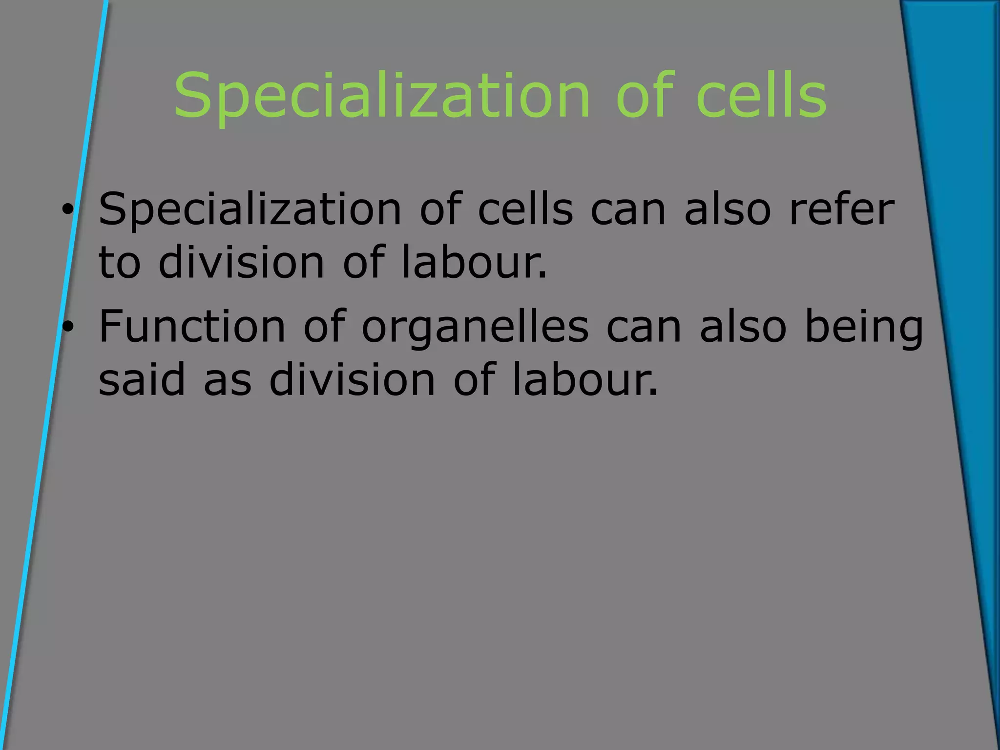Specialization of cells
• Specialization of cells can also refer
to division of labour.
• Function of organelles can also being
said as division of labour.
 
