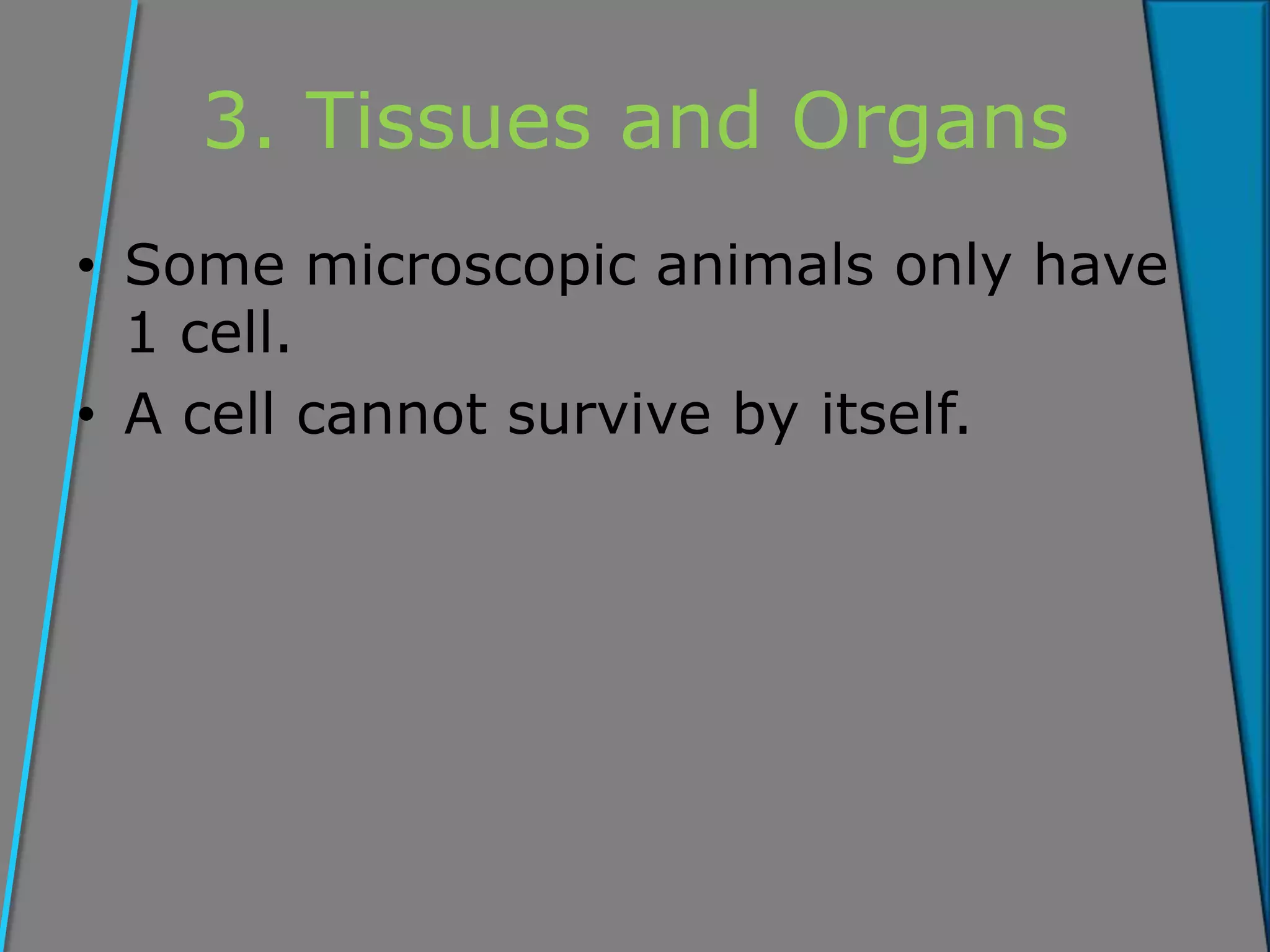 3. Tissues and Organs
• Some microscopic animals only have
1 cell.
• A cell cannot survive by itself.
 