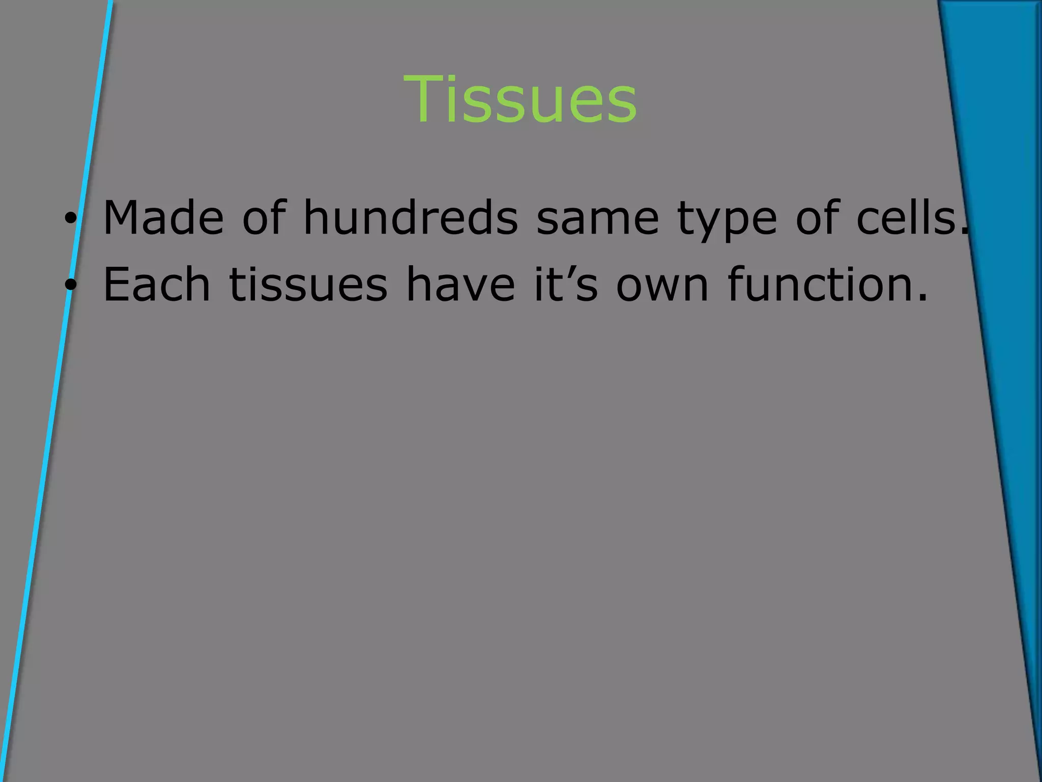 Tissues
• Made of hundreds same type of cells.
• Each tissues have it’s own function.
 