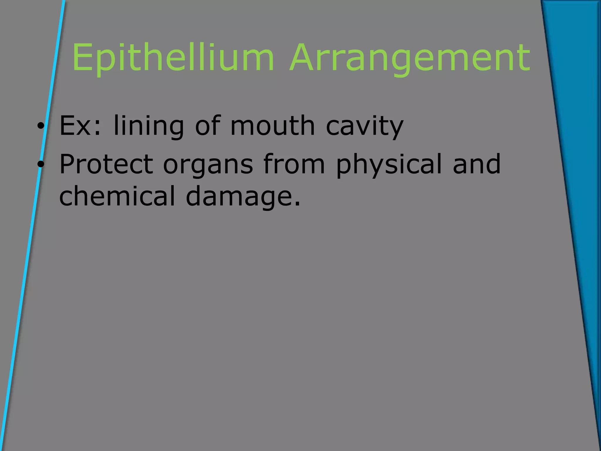 Epithellium Arrangement
• Ex: lining of mouth cavity
• Protect organs from physical and
chemical damage.
 