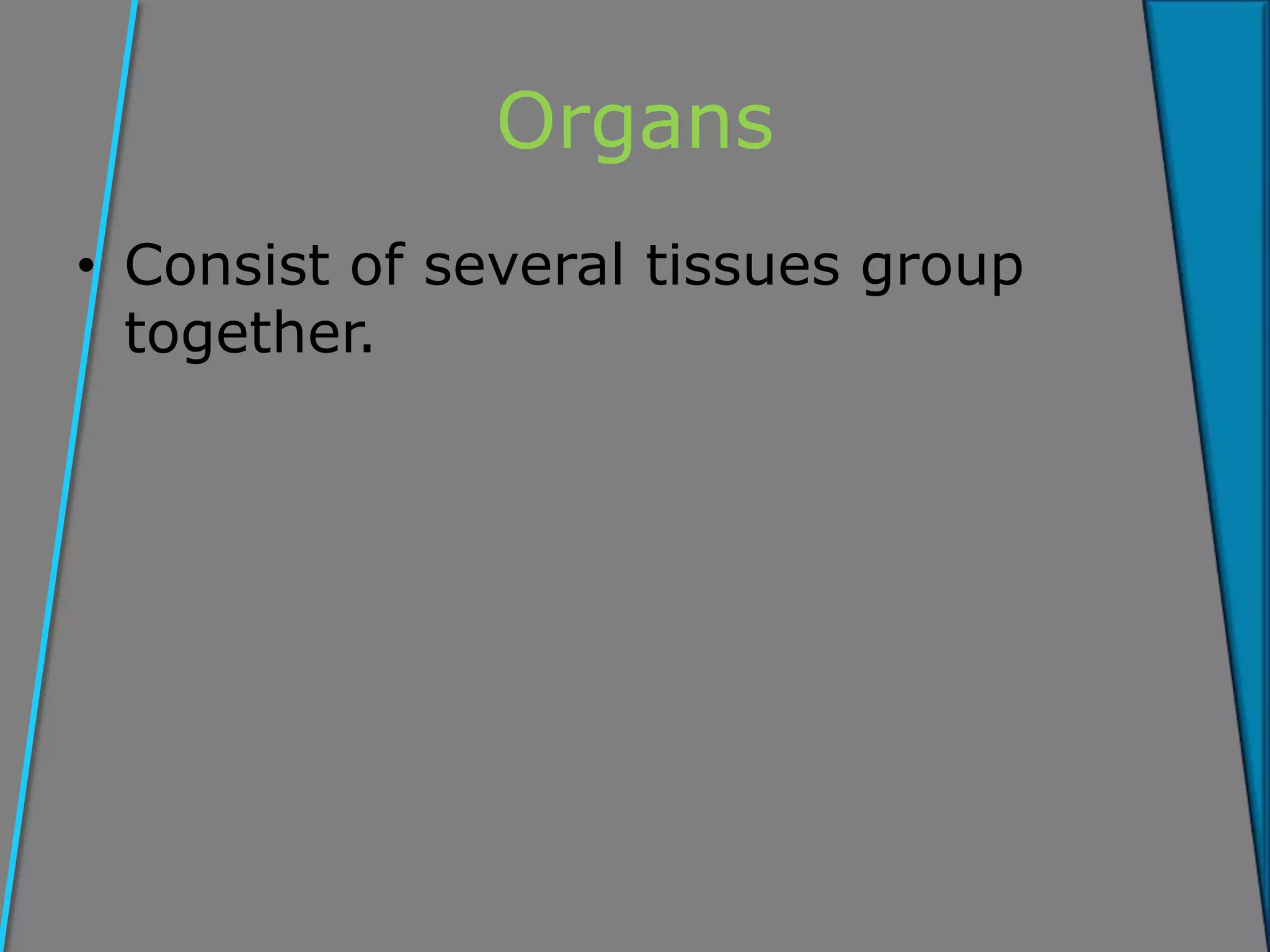 Organs
• Consist of several tissues group
together.
 