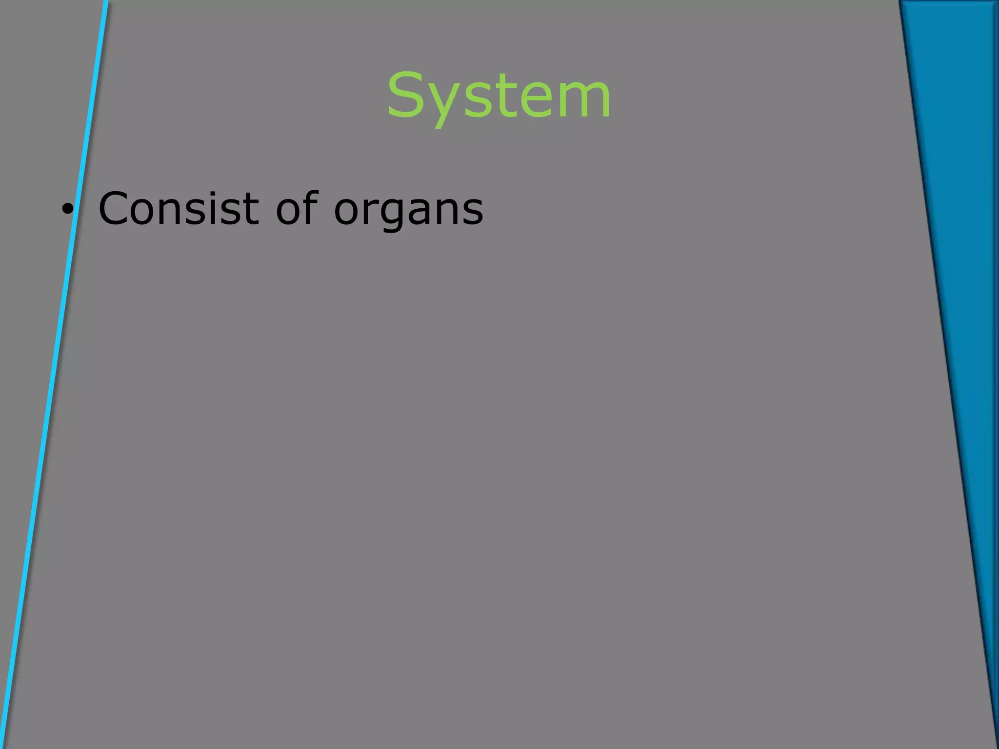 System
• Consist of organs
 