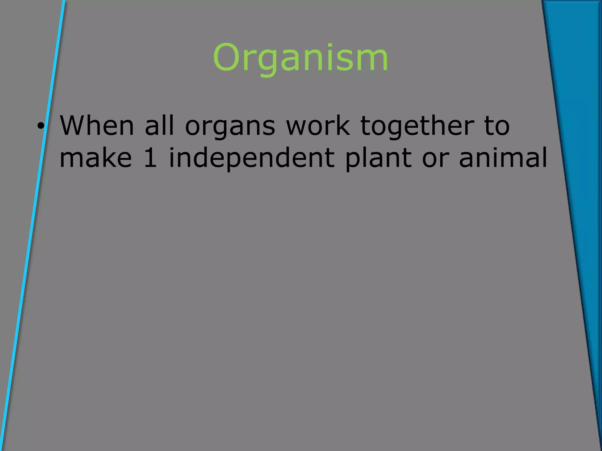 Organism
• When all organs work together to
make 1 independent plant or animal
 