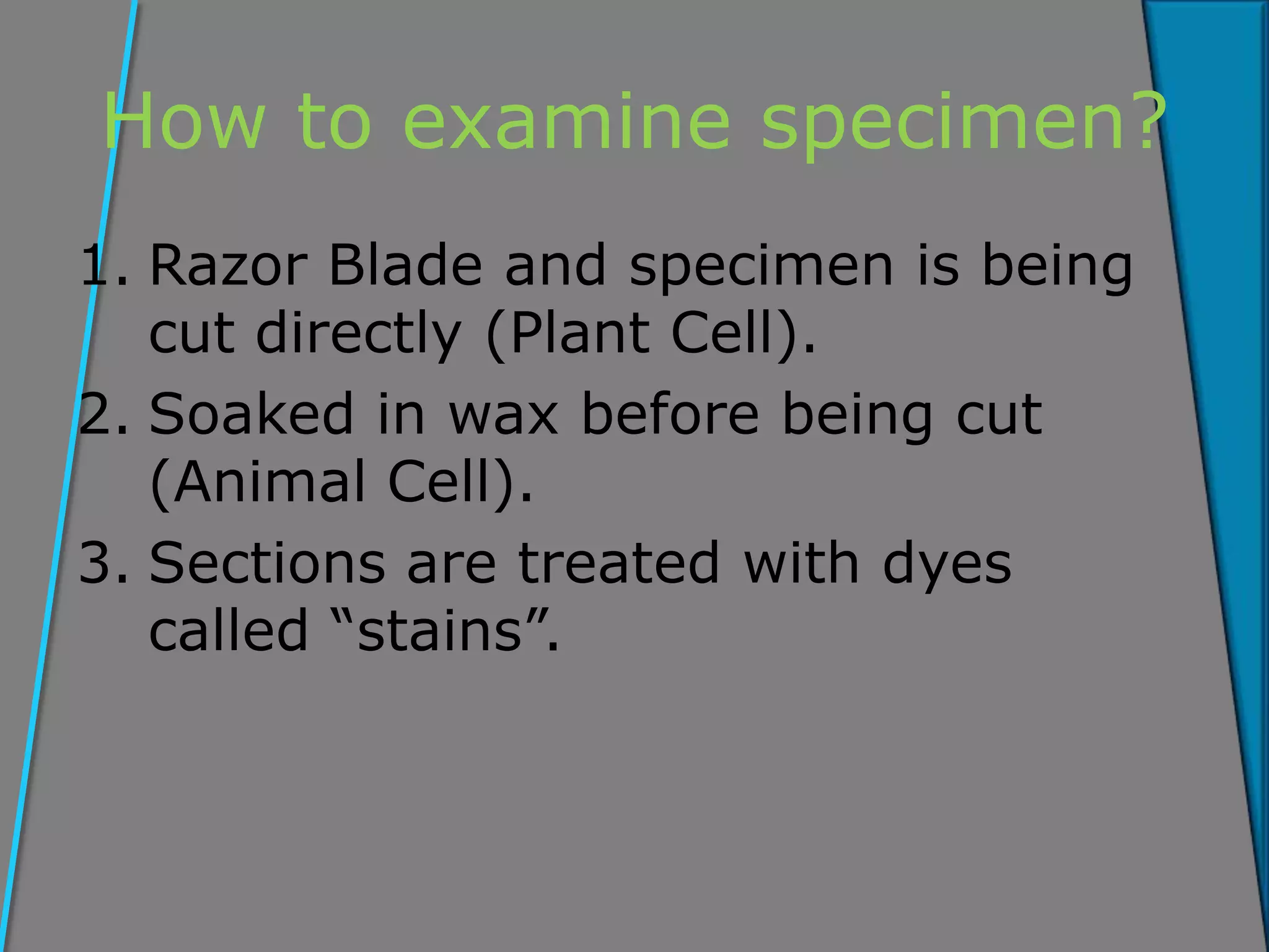 How to examine specimen?
1. Razor Blade and specimen is being
cut directly (Plant Cell).
2. Soaked in wax before being cut
(Animal Cell).
3. Sections are treated with dyes
called “stains”.
 
