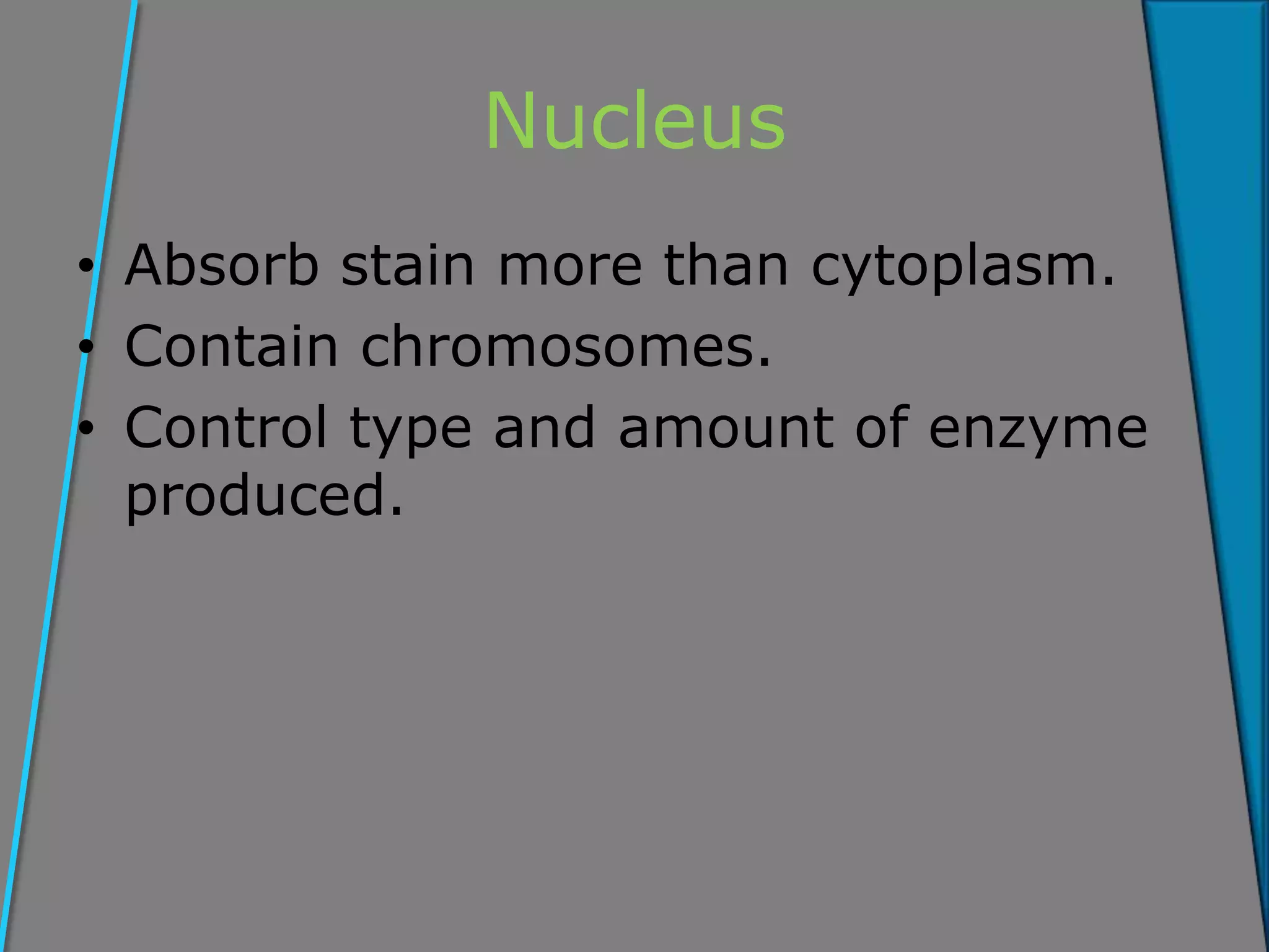 Nucleus
• Absorb stain more than cytoplasm.
• Contain chromosomes.
• Control type and amount of enzyme
produced.
 