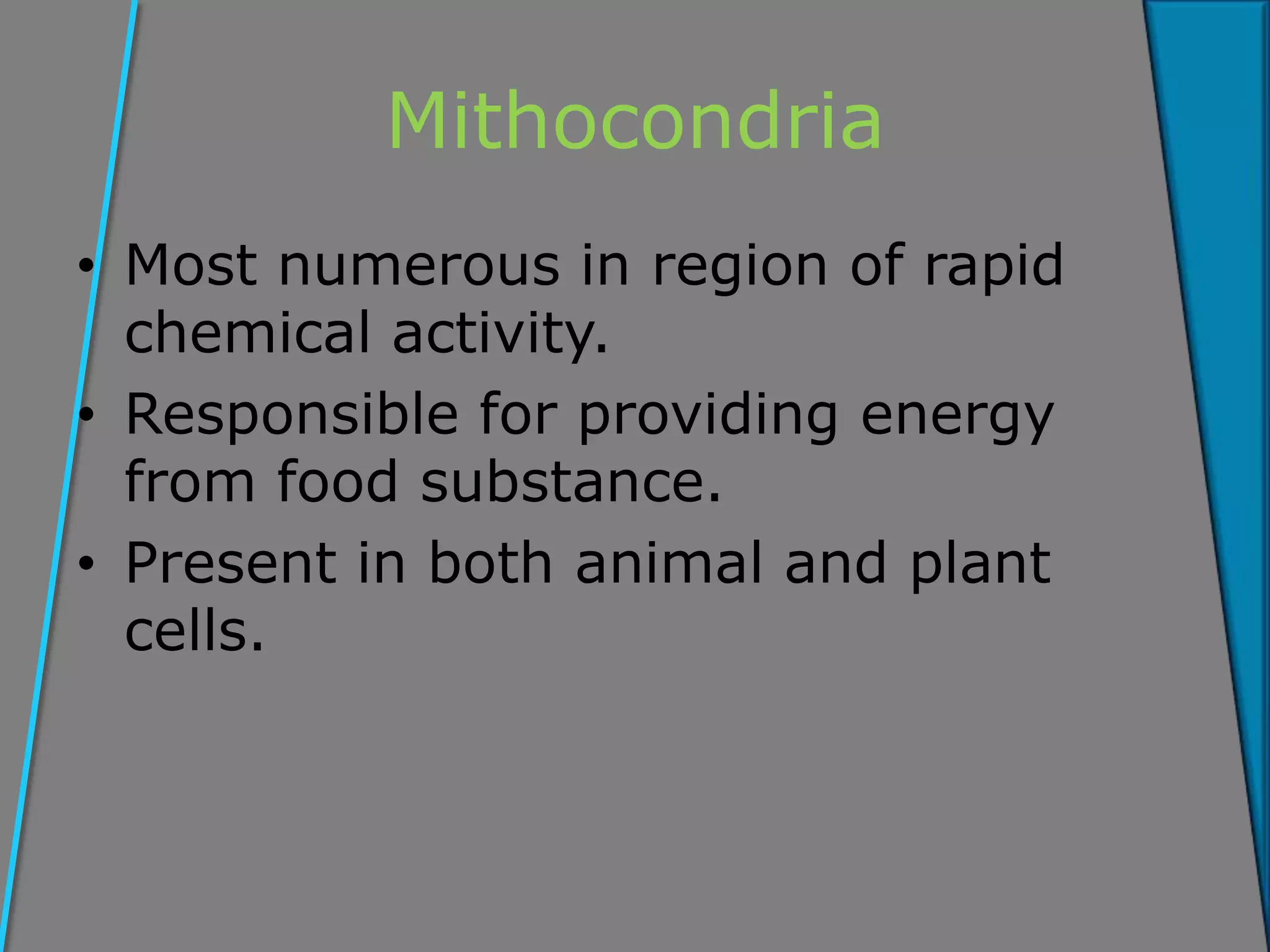 Mithocondria
• Most numerous in region of rapid
chemical activity.
• Responsible for providing energy
from food substance.
• Present in both animal and plant
cells.
 