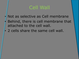 Cells and tissues | PPTX