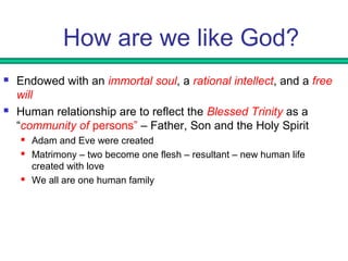 How are we like God? 
 Endowed with an immortal soul, a rational intellect, and a free 
will 
 Human relationship are to reflect the Blessed Trinity as a 
“community of persons” – Father, Son and the Holy Spirit 
 Adam and Eve were created 
 Matrimony – two become one flesh – resultant – new human life 
created with love 
 We all are one human family 
 