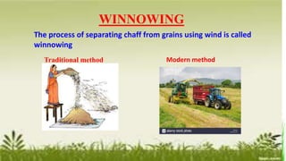 Winnow Out Ch 1 Crop Production and Management 1.pptx