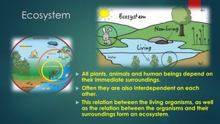 Ecosystem
 All plants, animals and human beings depend on
their immediate surroundings.
 Often they are also interdependent on each
other.
 This relation between the living organisms, as well
as the relation between the organisms and their
surroundings form an ecosystem.
 