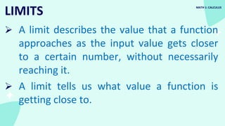 Comprehensive Introduction to Functions and Limits in Calculus | PDF