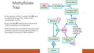 Methylfolate
Trap
In the absence of B12, 5-methyl THFAmajor
circulating & storage form of folic acid is
metabolically inactive
To be activated5-methyl group removed &
THFA is cycled back into folate pool
THFA may then be converted to coenzyme form
of folate required to convert deoxyuridylate to
thymidylate necessary for DNA synthesis
 