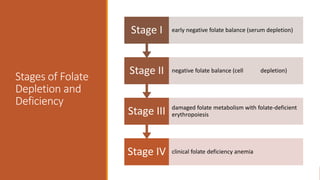 Stages of Folate
Depletion and
Deficiency
Stage IV clinical folate deficiency anemia
Stage III damaged folate metabolism with folate-deficient
erythropoiesis
Stage II negative folate balance (cell depletion)
Stage I early negative folate balance (serum depletion)
 