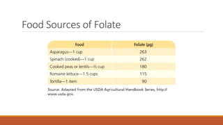 Food Sources of Folate
 