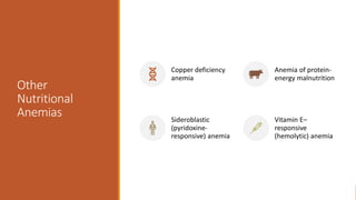 Other
Nutritional
Anemias
Copper deficiency
anemia
Anemia of protein-
energy malnutrition
Sideroblastic
(pyridoxine-
responsive) anemia
Vitamin E–
responsive
(hemolytic) anemia
 