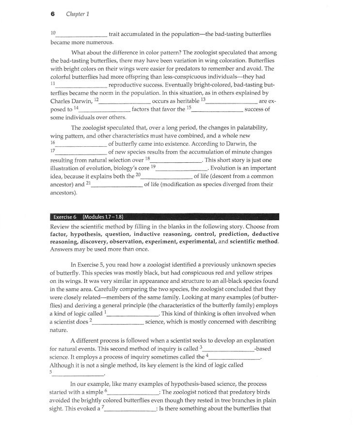 essay about drivers your family tree