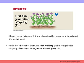 Introduction to genetics_.ppt