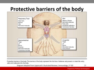 Introduction to immunology | PPT