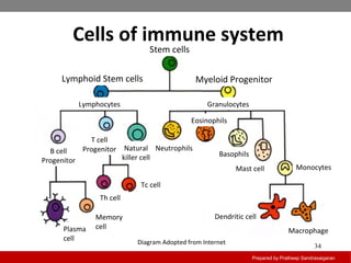Introduction to immunology | PPT